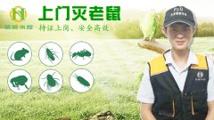 「杭州杀虫公司」杀虫公司工作的步骤