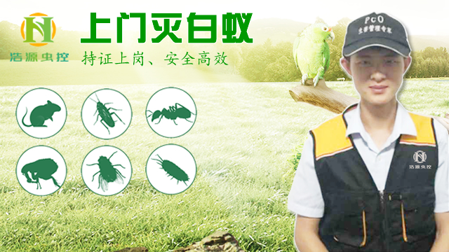 杭州上门灭白蚁 杭州上门灭白蚁