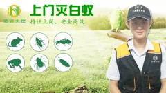 「杭州灭白蚁」白蚁防治的施工及用药原则