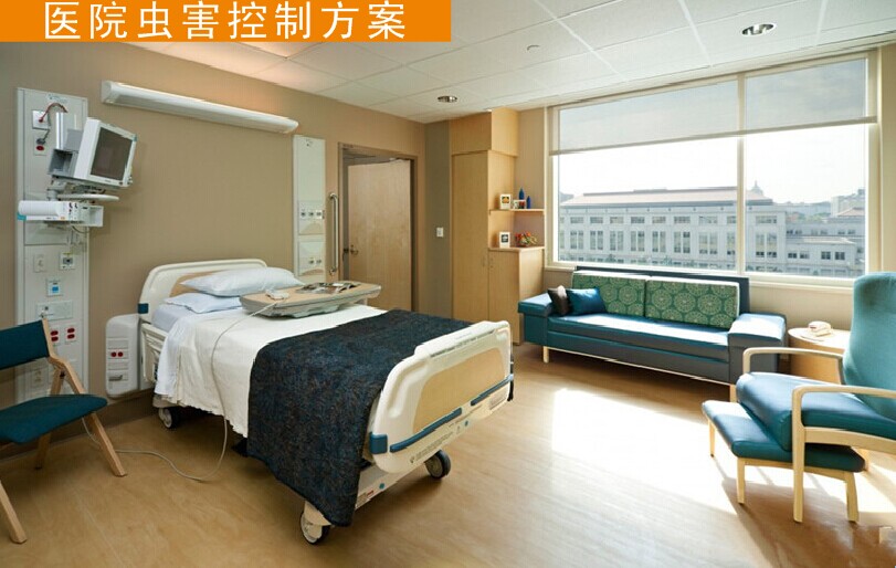 杭州灭老鼠 杭州灭老鼠